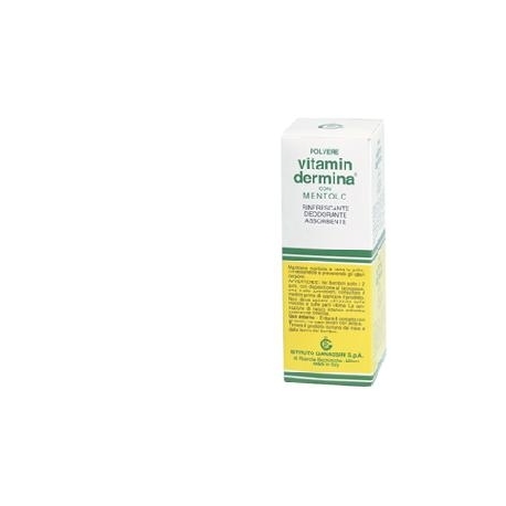 VITAMINDERMINA POLVERE CON MENTOLO 100 gr
