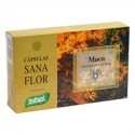 MACA 60 capsule 26g