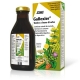 GALLEXIER TONICO CARCIOFO 250 ml 