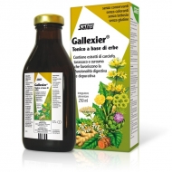 GALLEXIER TONICO CARCIOFO 250 ml 