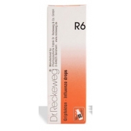  DR RECKEWEG R6 gocce 22 ml 