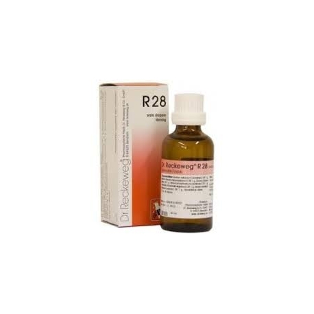 DR RECKEWEG R28 GOCCE 22 ml 