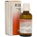 DR. RECKEWEG R28 GOCCE 22 ml 