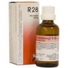 DR RECKEWEG R28 GOCCE 22 ml 