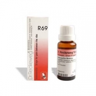 DR RECKEWEG R69 GOCCE 22 ml