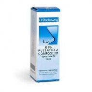 DR RECKEWEG R96 SPRAY NASALE 15 ml