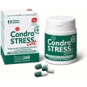 CONDROSTRESS + CAT 30 CAPSULE