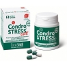 CONDROSTRESS FELIX PASTA ORALE