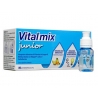 VITALMIX JUNIOR FLANCONCINI