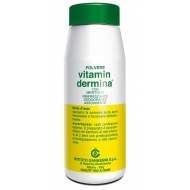 VITAMIN DERMINA POLVERE CON MENTOLO 100 g