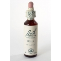 BACH ORIGINAL HOLLY 20 ml
