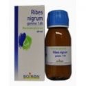 BOIRON RIBES NIGRUM GEMME  MACERATO GLICERICO 60 ml