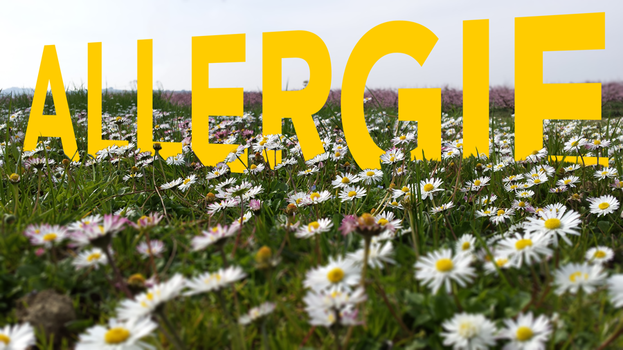 Allergie